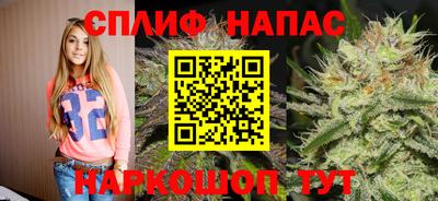 стаф Бугуруслан