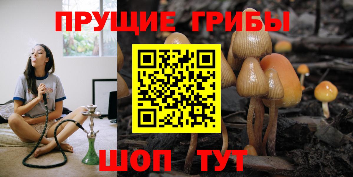 Рязань  Галлюциногенные грибы Cubensis  Вход с VPN 