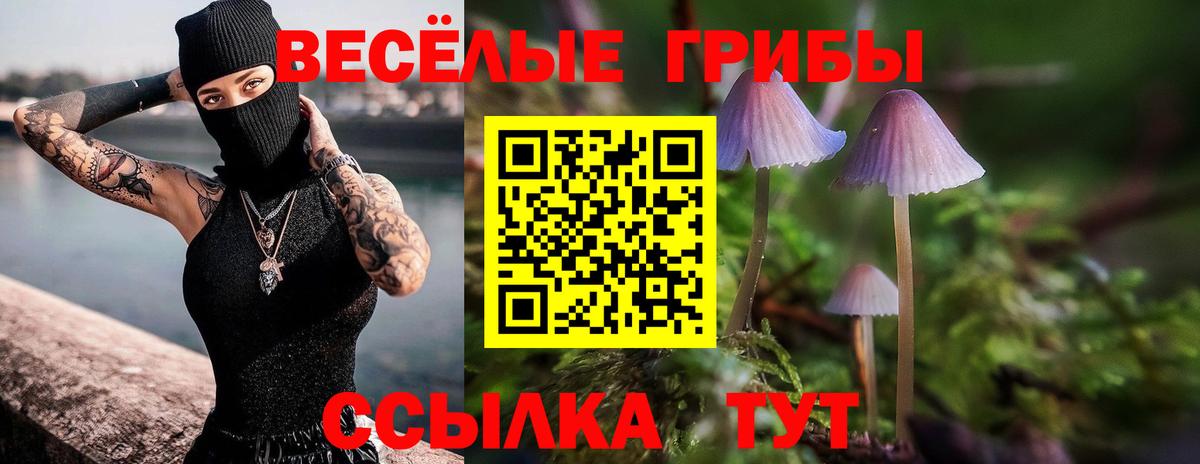 Галлюциногенные грибы Cubensis Рязань